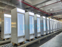 Congélateur vertical à porte unique, vitrine de présentation pour aliments surgelés et glaces, congélateur commercial à refroidissement par ventilateur pour supermarché et magasin