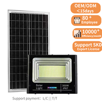 Projecteur LED solaire IP67 en aluminium, étanche, télécommande, batterie LiFePO4, lumière du jour 6000K, lampe de jardin haute puissance