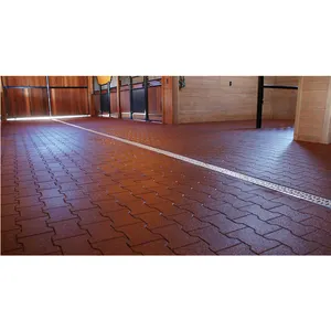 Driveway Tái Chế Cao Su Patio Pavers/Gạch Cao Su