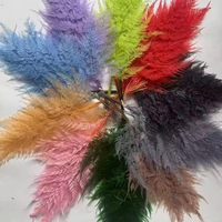 Vente chaude 10 pièces Flocons de neige stabilisés naturels Fougère stabilisée Éternelle Décoration de mariage Noël Maison