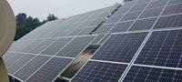 Panneaux solaires entièrement certifiés 260W 270W 280W Module solaire photovoltaïque 285W Panneau solaire
