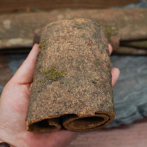 Gui PI <span class=keywords><strong>Juan</strong></span> China crudo pelado seco Cassia Tubos para especias y hierbas - Product Image 4