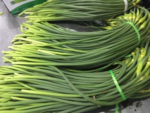 Nouvelle culture de légumes chinois de <span class=keywords><strong>tige</strong></span> d'<span class=keywords><strong>ail</strong></span> frais/pousse d'<span class=keywords><strong>ail</strong></span> frais/<span class=keywords><strong>tige</strong></span> de germe d'<span class=keywords><strong>ail</strong></span> frais en paquet de germes d'<span class=keywords><strong>ail</strong></span> vert - Product Image 4