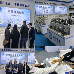 إكسسوارات محمل كروي مخصصة احترافية قفص التجنيب للقوالب جلبة عالية الجودة - Product Image 5