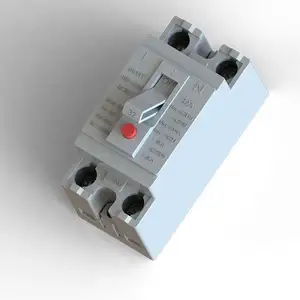 Disyuntor MCB mini de seguridad, 10A,16A,20A,25A,3amp, 220V, 2P, serie SGT52 (NT50)