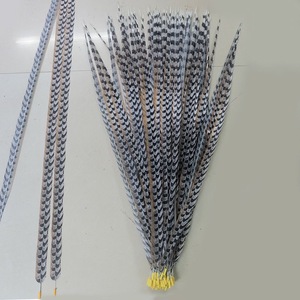 Bán Buôn Lựa Chọn Chất Lượng Dài 60-150 Cm Tổng Hợp Reeves Gà lôi Lông Đảng Lễ Hội Samba Trang Phục Trang Trí - Product Image 4