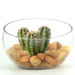 Ciottoli misti e ciottoli per giardino fiume ciottoli di pietra paesaggio pietra giardino ciottoli - Product Image 3