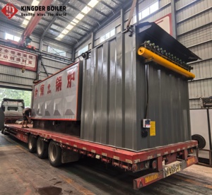 Chaudière à vapeur à grille à chaînes DZL pour biomasse, production de vapeur de 4 tonnes/h, combustible <span class=keywords><strong>mixte</strong></span> <span class=keywords><strong>granulés</strong></span> <span class=keywords><strong>bois</strong></span> et charbon, chaudière industrielle écologique personnalisée - Product Image 4