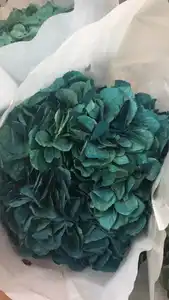 2022 Ins Popular Release Green Preserved Big Leaf Hydrangeas Preserved Hydrangea Flowers For Wedding Decoration