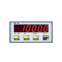 N.B.C. Indicador de Peso de Panel Frontal Elettronica Group Srl Sl 01, Pantalla LED de 6 Dígitos con Retroiluminación Dual, 14 mm de Altura, 5 LED Indicadores