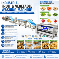 Baiyu Automatische Fruit- en Groentewasmachine met Ozonsterilisatie, Voedselveilige RVS, voor Industrieel Gebruik
