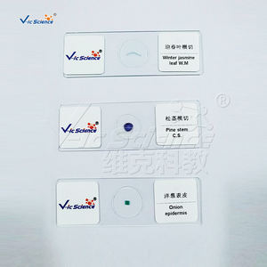 Ensembles de lames de spécimen en verre de microscope scolaire pour les projets <span class=keywords><strong>d</strong></span>'éducation en zoologie et en histologie de l'<span class=keywords><strong>entomologie</strong></span> botanique - Product Image 4