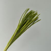 Bunga Rumput Kylin Kering Terawetkan Warna Kuning Emas, Rumput Foxtail, Rumput Horsetail, Rumput Pampas Mengembang, untuk Pernikahan Boho, Hari Ibu