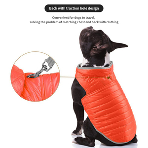 Luxuriöse Designer-Haustierartikel Herbst Warme Hundejacke Winter Haustierkleidung Verdickte Baumwollgepolsterte Hundekleidung - Product Image 3