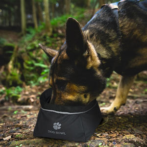 थोक ढहने वाले जलरोधी कुत्ते कुत्ते का कटोरा पानी और खाद्य कटोरे कुत्तों के लिए पोर्टेबल पालतू जानवरों के लिए - Product Image 5