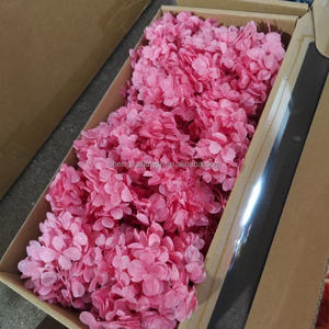 <span class=keywords><strong>Fleurs</strong></span> naturelles <span class=keywords><strong>stabilisées</strong></span> Corsage fleur vrais pétales <span class=keywords><strong>Bouquet</strong></span> boîte florale stabilisé hortensia bricolage Arrangement - Product Image 2