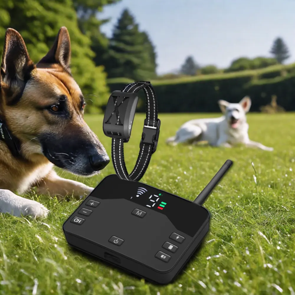 Nouveau système de collier de formation électrique et électronique pour animaux de compagnie étanche meilleur vendeur forme personnalisée livraison directe Gps clôture pour chien sans fil