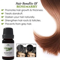 Huile Essentielle de Romarin 10ml avec Logo Personnalisé, Vente en Gros, Marque Privée, 100% Pure et Naturelle, Flacon compte-gouttes en Verre Ambré pour Soins du Cuir Chevelu et des Cheveux