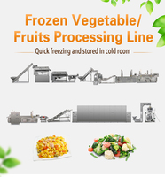 Aanpasbare Snelbevroren Machine Verwerkingslijn Voor Fruit Groenten Food Gear & Plc Core Componenten Voor Hotels