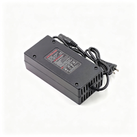 High Performance 48V 5A Li-ion Battery Charger for YOZMA in 10 Electric Motorcycle Power Adapter Durable Fast Charging Device