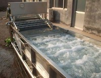 De Speciale Volledig Automatische Productielijn Voor Fruitgroente Voor Voedselverwerking Loopt Automatisch