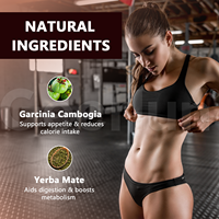 Café en poudre pour le contrôle du poids en promotion avec Garcinia Cambogia – Suppresseur d'appétit et bâtonnets de café pour la perte de poids
