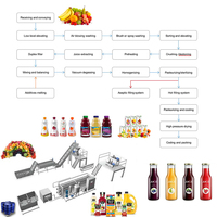 Lazen Factory Custom Multifunctionele Volledig Automatische Fruitpersmachine
