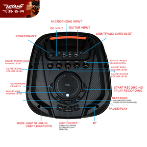 OEM Dynamic Casse Acustiche Party speaker Dual 8 pollici Bluetooth Music player Echo Dot contrabbasso deflette Son Professionnel - Product Image 6