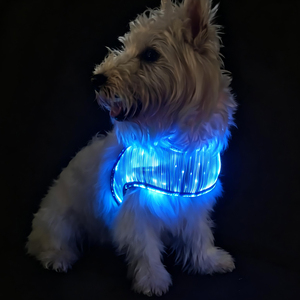 Arnés para Perro Resistente y Cómodo de Usar, con Logotipo Personalizado, Arnés para Mascotas con LED - Product Image 1