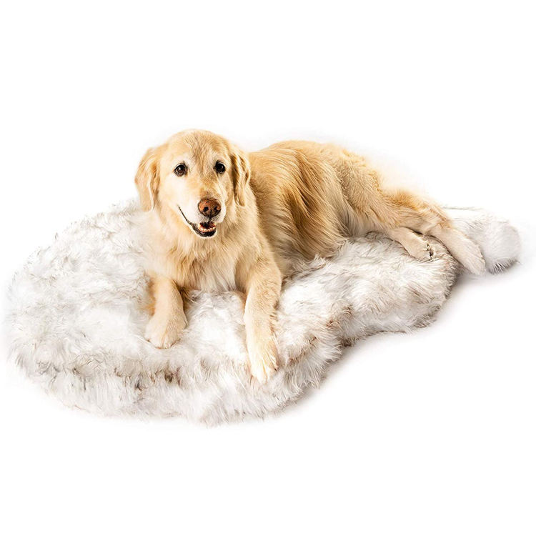 สีขาวโค้ง