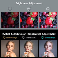   Lampe vidéo LED pour appareil photo, 96 perles LED pour éclairage photo et vidéo, rechargeable 2200 mAh avec 3 griffes porte-accessoires 3286B