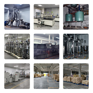 Complément de Gommes Végétariennes Personnalisées : Collagène Amélioré, Acide Hyaluronique, Multiples Vitamines, Collagène Renforcé à l'Algues Marines d'Irlande - Product Image 6