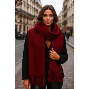 Écharpe épaisse blanche à texture douce avec des glands, accessoire polyvalent chaud pour tous les jours et les occasions spéciales pour l'automne - SAL1257 - Product Image 2