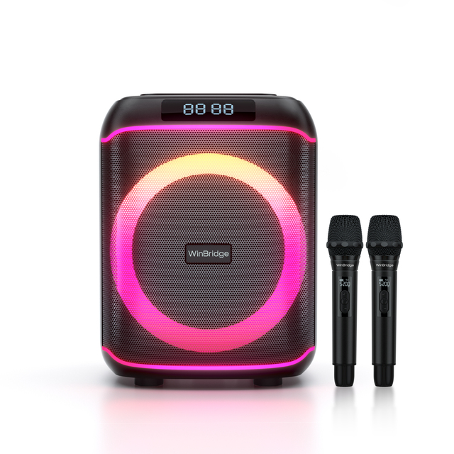 Wireless Party Speaker 1000w  8" Subwoofer RGB LED Party Speaker with Duel Handheld Mic