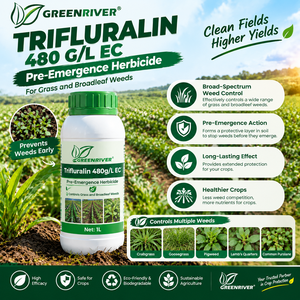 GREENRIVER Trifluralin 480 G/L EC Erbicida Pre-Emergenziale HRAC Gruppo 3 <span class=keywords><strong>per</strong></span> Applicazione al Suolo - Product Image 1