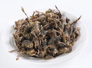 ניודה oem oem בהקפאה מיובשת פריטה מתייחסת כלב כלב מרפא טבעי גבוה לחתולים כלבים כלבים כלבים לכלבים מקפיאים - Product Image 2