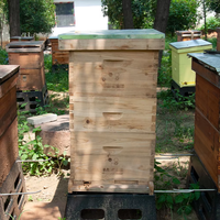 Équipement professionnel d'apiculture prix d'usine ruche d'abeille en bois 10 cadres ruche Langstroth