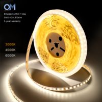 Bande lumineuse LED QM Factory Price, DC 12V 24V, 120 LED/m, SMD2835, 10 mm, 18 W, 10 m/rouleau, blanc, haute luminosité, dimmable, flexible