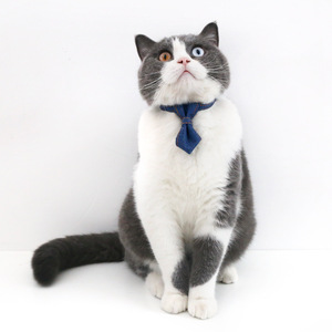 Collier de nœud <span class=keywords><strong>papillon</strong></span> réglable pour petits chiens et chats Accessoire formel pour animaux de compagnie pour les mariages et les fêtes - Product Image 6
