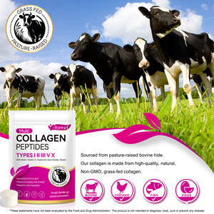 Großhandel Private Label Grasgefüttertes Multi-Kollagen-Peptid-Pulver Geschmacksneutrales Kollagenpulver für Gesunde Haare, Haut, Nägel & Gelenke - Product Image 6