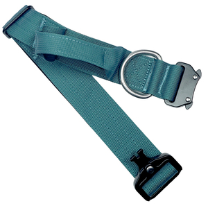 Collier de luxe personnalisé pour animaux de compagnie, robuste, en acier inoxydable, avec boucle en D, pour chiens de taille moyenne et grande, avec rembourrage doux - Product Image 4