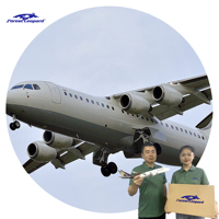 Transporteur d'expédition AirCargo de Ningbo aux EAU Dubaï DDP ONT8