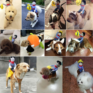 Cowboy pour animaux de compagnie équitation se transforme en fournitures pour animaux de compagnie Costume chien chat amusant Halloween Cosplay Costume - Product Image 6