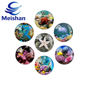 Meishan แม่เหล็กติดตู้เย็นทรงกลมแบบแม่เหล็กติดตู้เย็นรูปเต่าและปลาดาวทำจากเรซินทาง<span class=keywords><strong>ทะเล</strong></span>ทำจากเรซินสังเคราะห์ทนทานผลิตตามสั่งขายดีที่สุด - Product Image 4