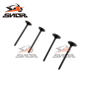 Pièces de <span class=keywords><strong>moteur</strong></span> de moto tout-terrain résistantes aux hautes températures SNOR pour ZONGSHEN ZS172FMM-6 CB250R Soupape d'admission et d'échappement - Product Image 4