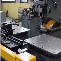 Machines de perçage CNC et de poinçonnage de plaques Raintech, machine de poinçonnage automatique pour plaques en acier métallique