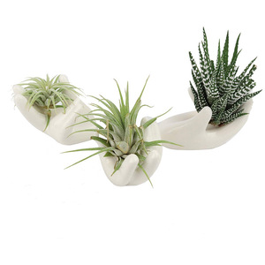 Support <span class=keywords><strong>en</strong></span> céramique pour plantes aériennes, présentoir pour plantes, base pour passoire à thé '<span class=keywords><strong>Main</strong></span> <span class=keywords><strong>de</strong></span> <span class=keywords><strong>Bouddha</strong></span>' - Product Image 1