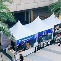 Tente de réception pliable imperméable pour l'extérieur, personnalisable, disponible en tailles 5x5, 6x6, 10x10 - En vente