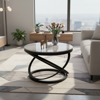 Table basse de luxe au design moderne, écologique, facile à assembler, noire, pour salon familial, mobilier circulaire