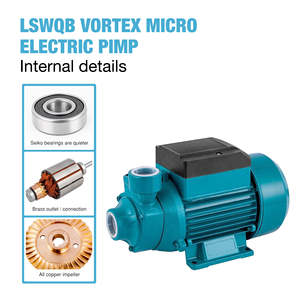 <span class=keywords><strong>Pompe</strong></span> centrifuge électrique monophasée auto-amorçante haute pression en acier inoxydable DC VORTEX - Product Image 4